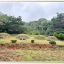 대길부분정비 | 장성묘지이장 마음까지 정리되는 순간