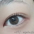 아린 아이래쉬 | 일산 가좌마을 아린 아이래쉬에서 알려드리는 속눈썹 펌 주기