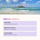 사계 돌담숲 이미지