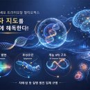 NATURE(네이처)PC 이미지