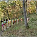 태권도 골든로드 이미지