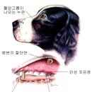 희망동물병원 이미지