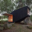 forest 이미지