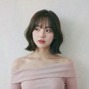 복스헤어