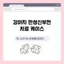 24시하나린동물의료센터 | 수원동물병원 24시 하나린동물의료센터 만성신부전 치료 사례