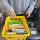 쭌아이스크림 네이버블로그