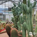 과학영농실증시험포 교육장 이미지