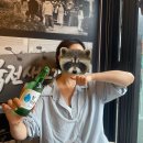 명문수족관 | 뭐야 내 2026년 반띵 어디감