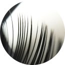 퀸즈메디코스 이미지