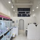 바른 애견 이미지