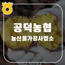 [전주 영상 제작] 공덕농협 가공사업소 홍보영상 - 찾았다, 우리 농산물 100% 원물간식