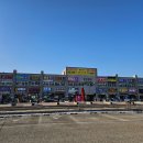 연숙회수산 | 2024 홍성 남당항 새조개축제 방문후기
