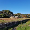 괴정2동-17 이미지