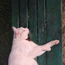 태평정미소 이미지