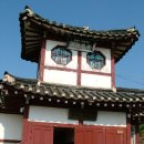 서도중학교 볼음분교 | 천연기념물 저어새와 서도은행나무가 있는 볼음도(乶音島) 트레킹