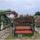 곡성-206 이미지