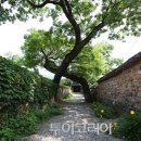산청휴 이미지