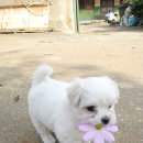 와써 이미지