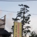 원당골 1길 23 ~ 원당골 1길 23-7 이미지