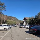 삼진카 | 평창 가족여행 가볼 만한 곳 볼거리 발왕산 케이블카 후기