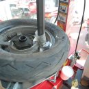 그린모터스 이미지