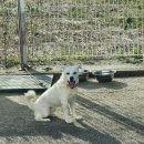 충청북도 보은군 보은읍 삼산로 18 이미지