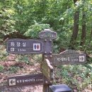 저수지길 Daum카페