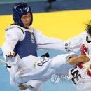 올림픽태권도체육관 이미지