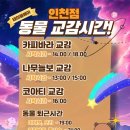 (주)트리플에이게임즈 | 인천 실내동물원 아이랑 갈만한곳 테이블에이 앤 우쥬 알차게 즐기기( with.50개월아들,6개월아들)