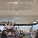 용산 | 용산 굿 스마일 후기