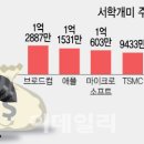 개미그래픽 이미지