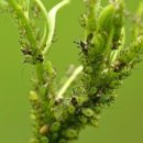 금지농약사 이미지