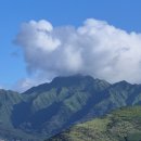 희재농장 | 하와이 7탄 : 와이켈레 아울렛, 진주만, 코스트코