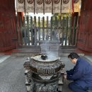 바버멍 | 7박 8일 간사이 여행 3편: 나라