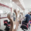 더샤인헤어.케어 이미지