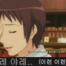 닥터피티 이미지