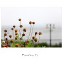 바다가 보이는 풍경 이미지