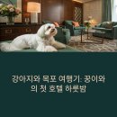 강아지와 목포 여행기: 꿍이와의 첫 호텔 하룻밤