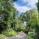 삼청공원 숲속도서관 | 종로 삼청동 삼청공원숲속도서관