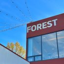 레포레스트(REFOREST) 이미지