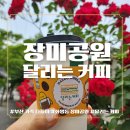 달리는커피 | 부산 화명동 장미공원 완전 정복! 만개한 장미와 달리는커피 화명점☕️ 가족 나들이 후기