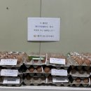 더크린푸드 이미지