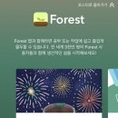 포레스트(Forest)