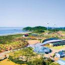 1004섬수석미술관 이미지