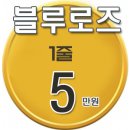 블루로즈 이미지