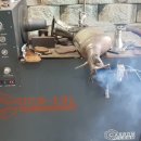 애니카랜드 호평평내점 이미지