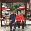 문화그린경로당 티스토리