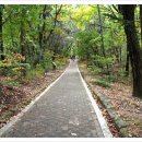 역사문화전문가 코스 이미지