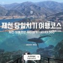 단양군장애인단체연합회 | 제천 가볼만한곳 청풍호반 케이블카 시네마360 제천 당일치기 가족여행