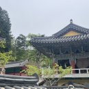 마암식당 | 공주여행코스, 1박2일 공주 맛집 숙소 드라이브 추천